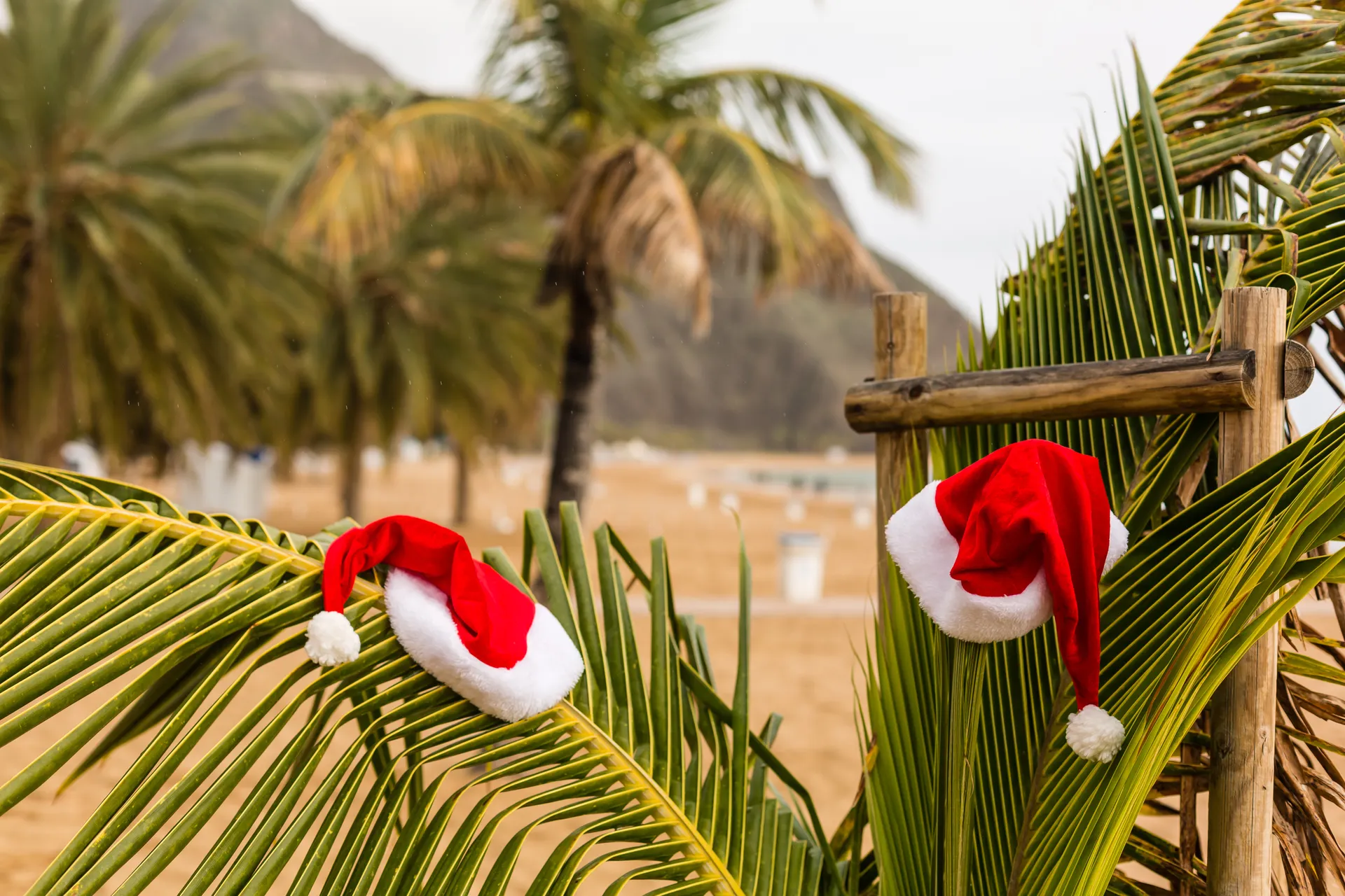 Verre reizen kerstvakantie