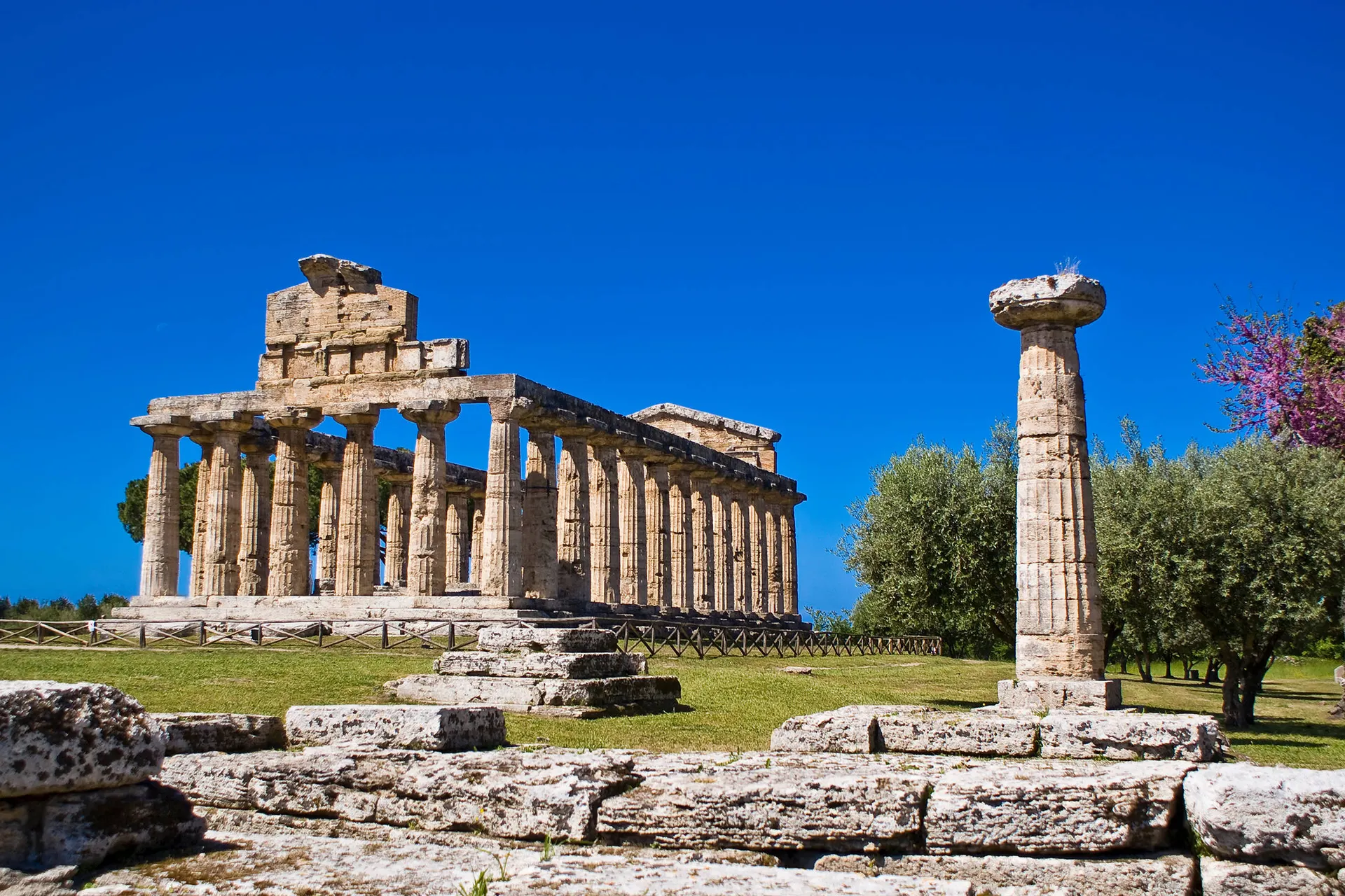 Paestum