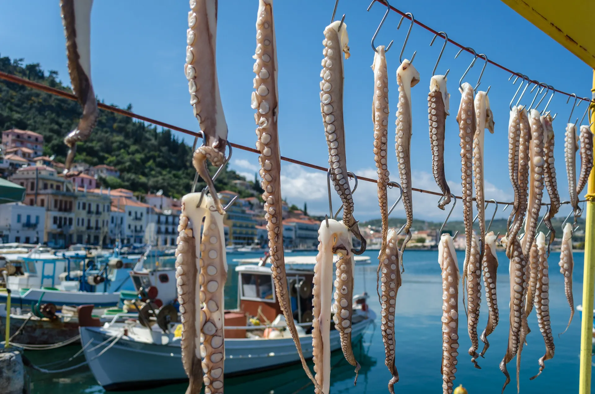 Gedroogde octopus in Gythio