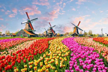 Vakantie Nederland