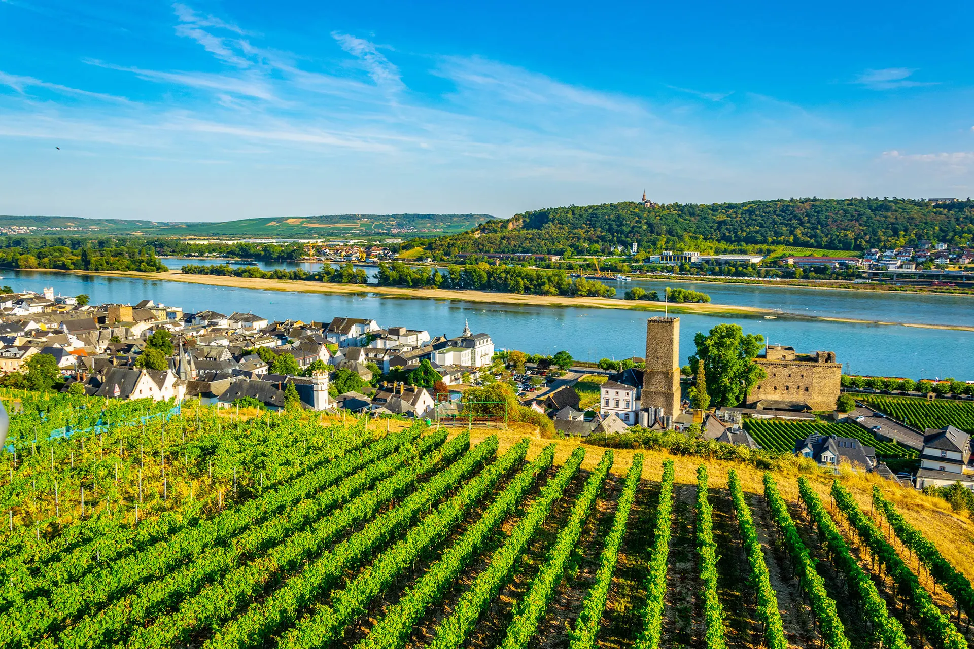 Majestueuze Donau dejongintra