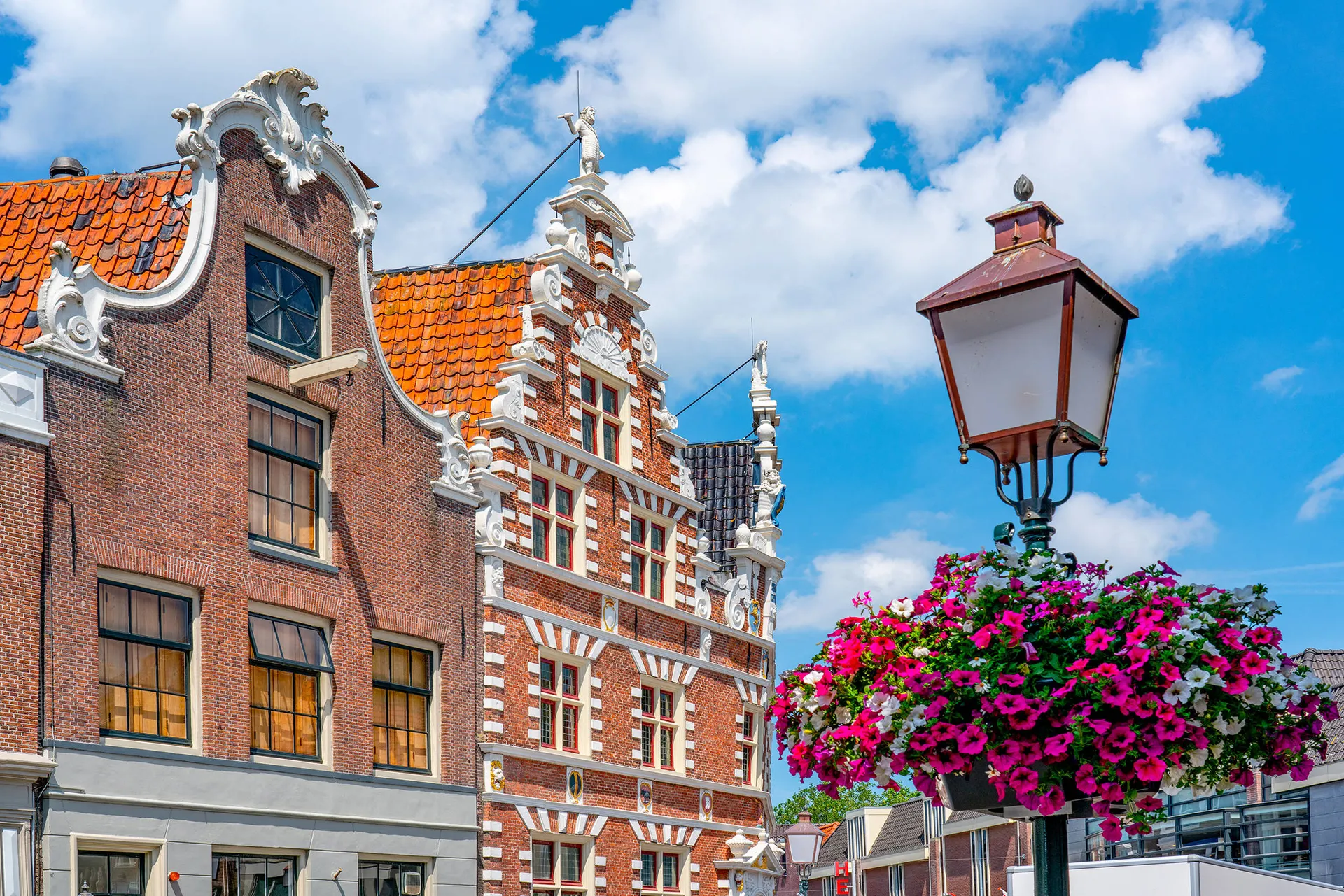 Hoorn