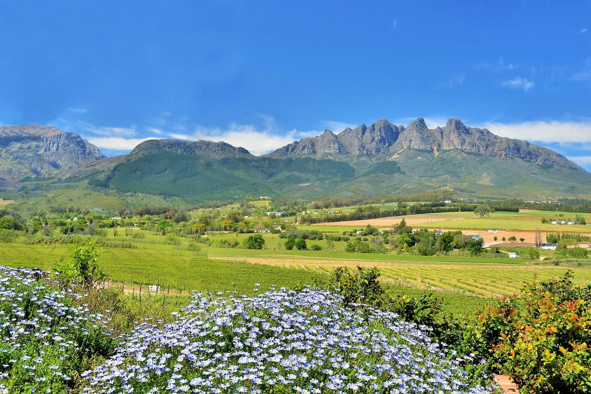 Rondreis, Zuid-Afrika