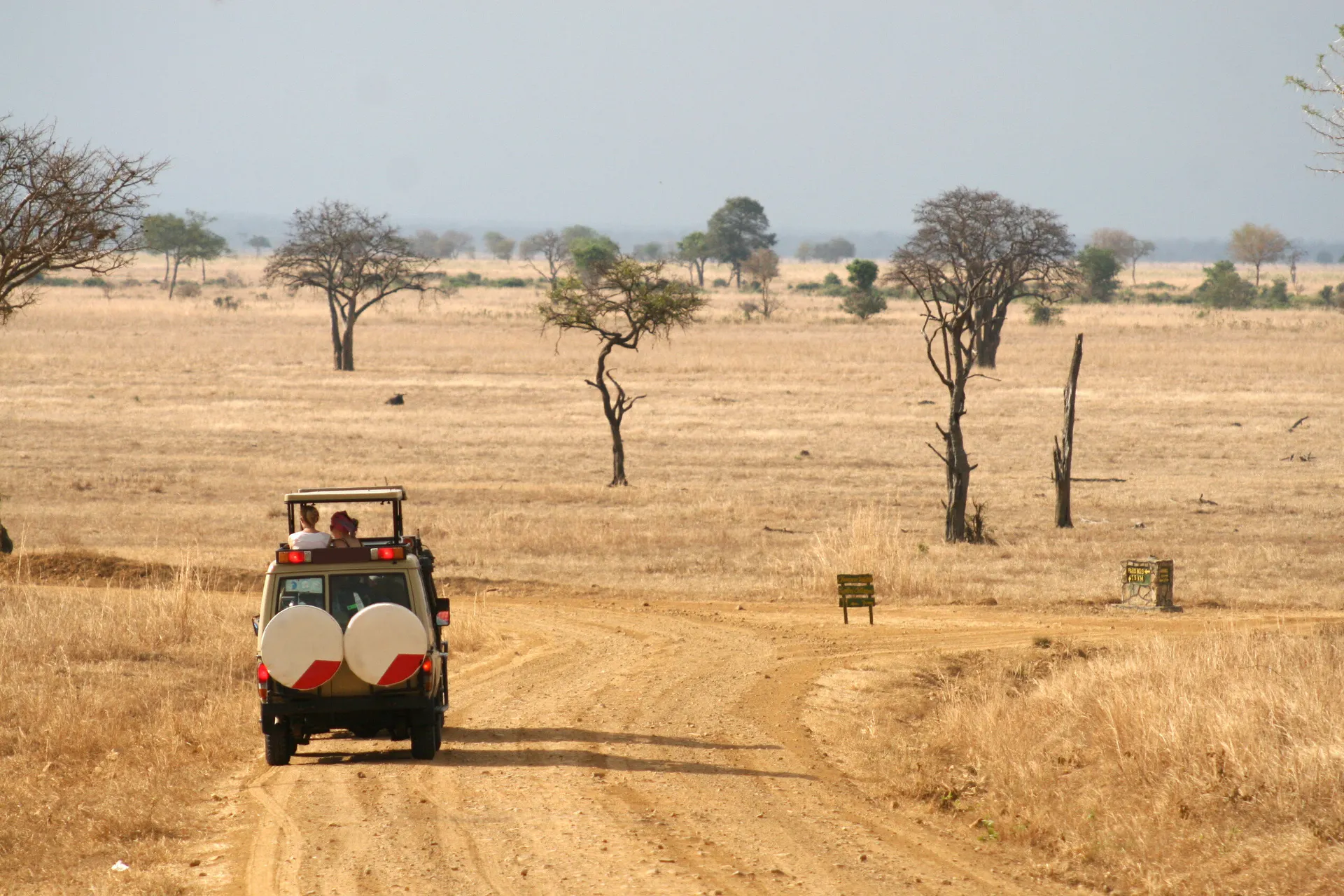Savanne Tanzania