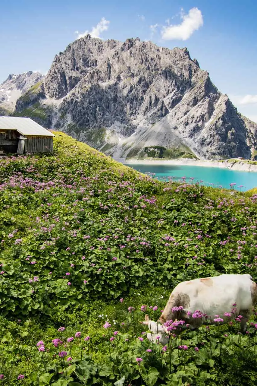 Oostenrijk Vorarlberg Portrait 
