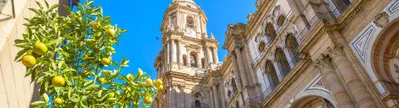 Stedentrip Malaga, Kathedraal van Malaga, Malaga, Spanje | de Jong Intra Vakanties