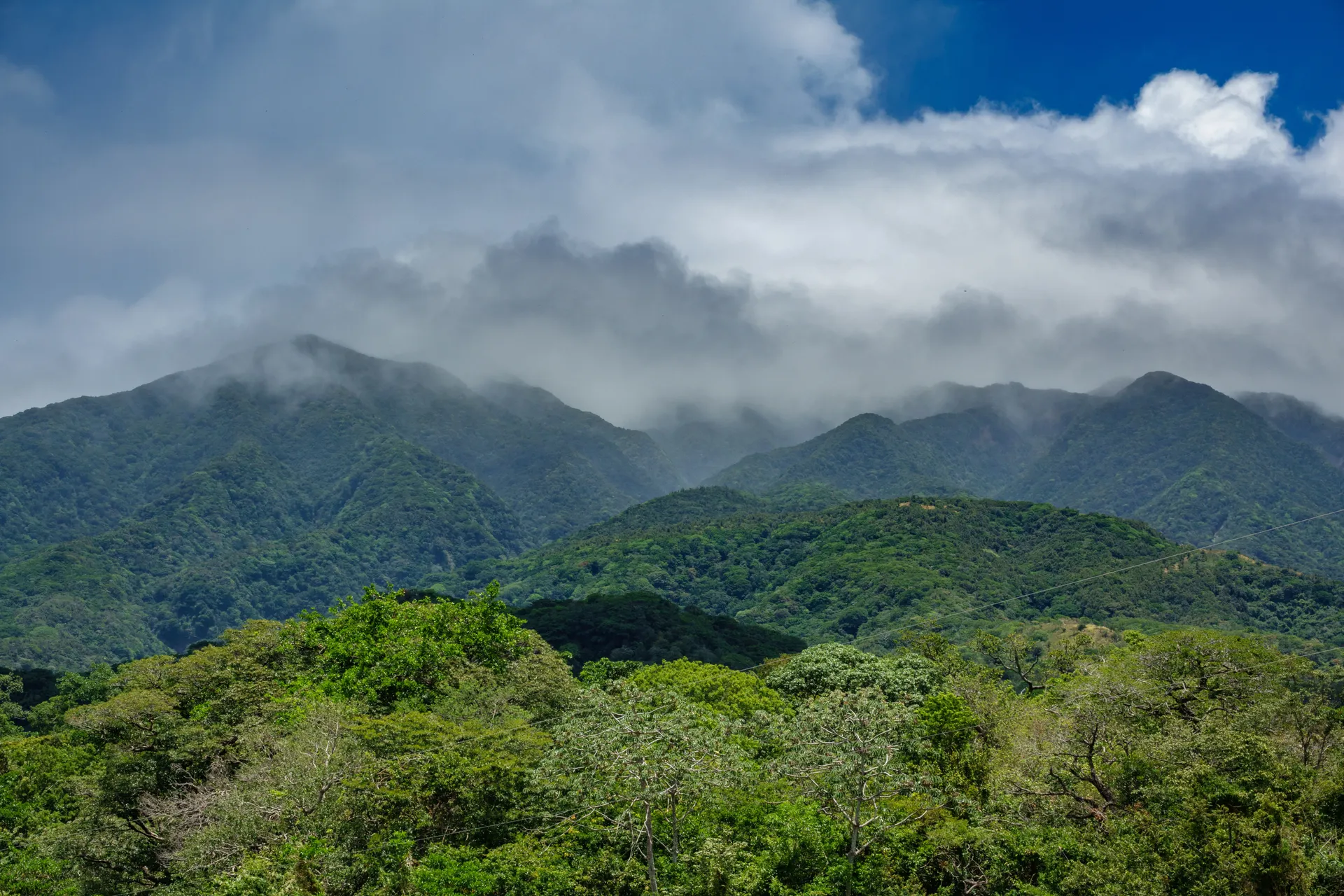 Ontdek Costa Rica afbeelding 2