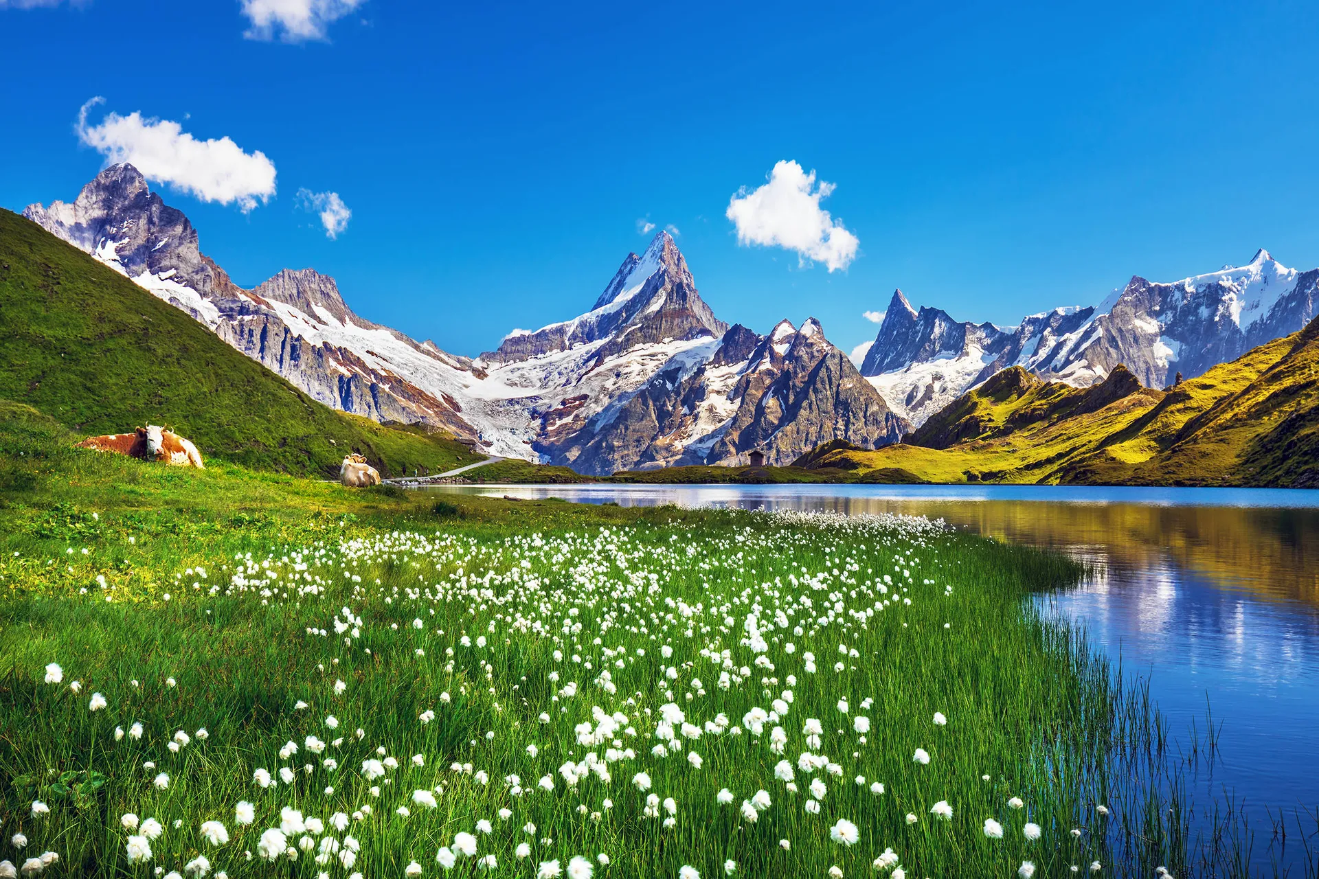Online bestellen: De mooiste Alpentoppen van Zwitserland, Meiringen